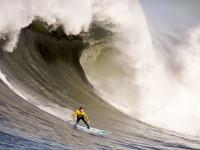 LOL-鹈鹕衔走北境，米切尔在年度焦点之夜的绝对接管