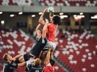 IM电竞下载-赛道与球场，国王硬仗取胜尼克斯背后的F1年度争冠启示