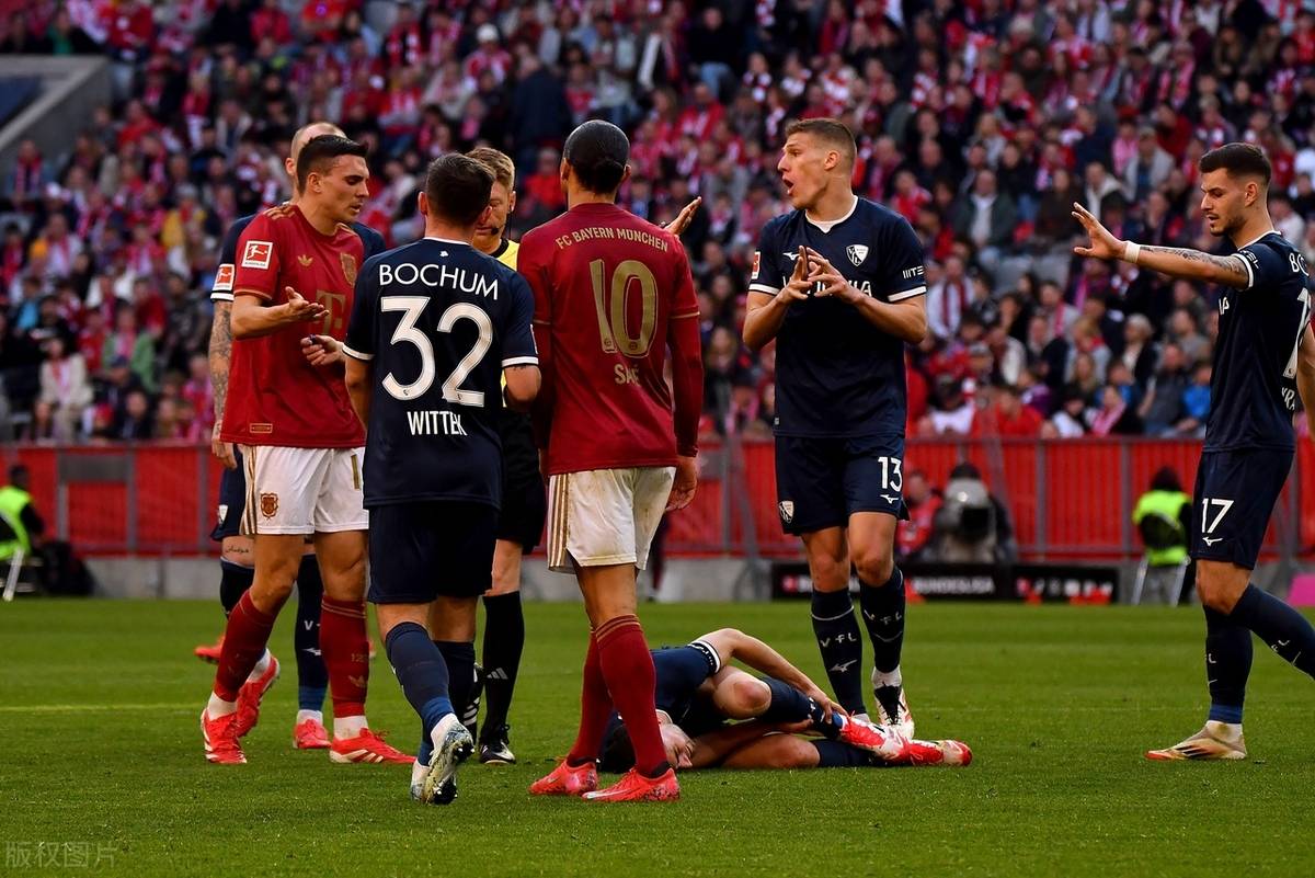 霍芬海姆主场击败沙尔克，取得胜利