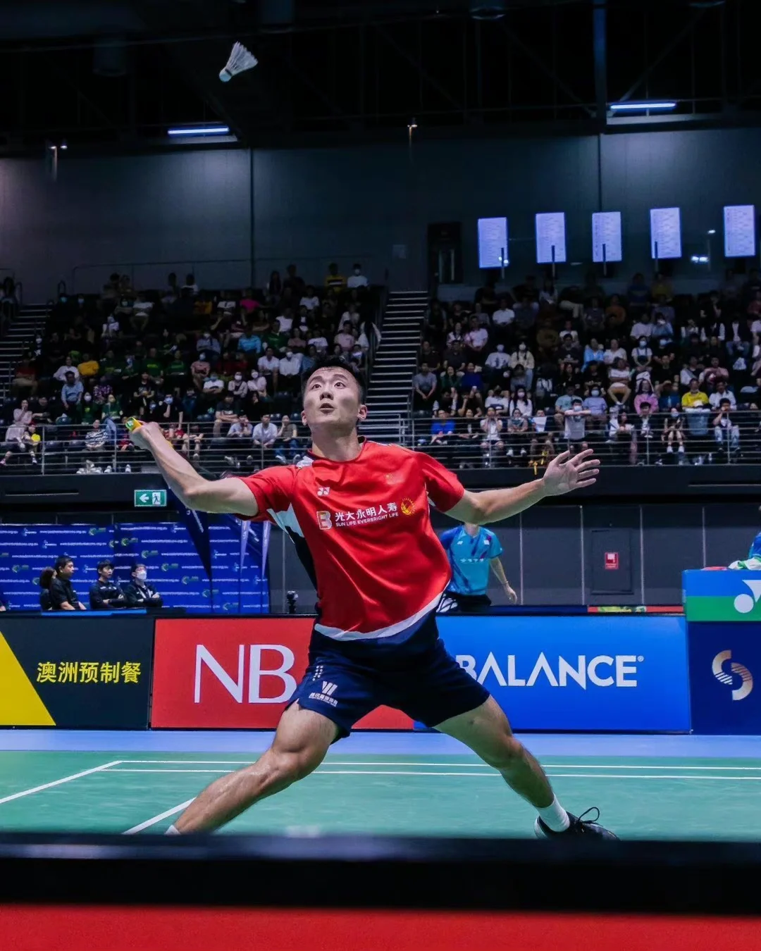 澳洲代表队实力雄厚，世界赛夺冠有望